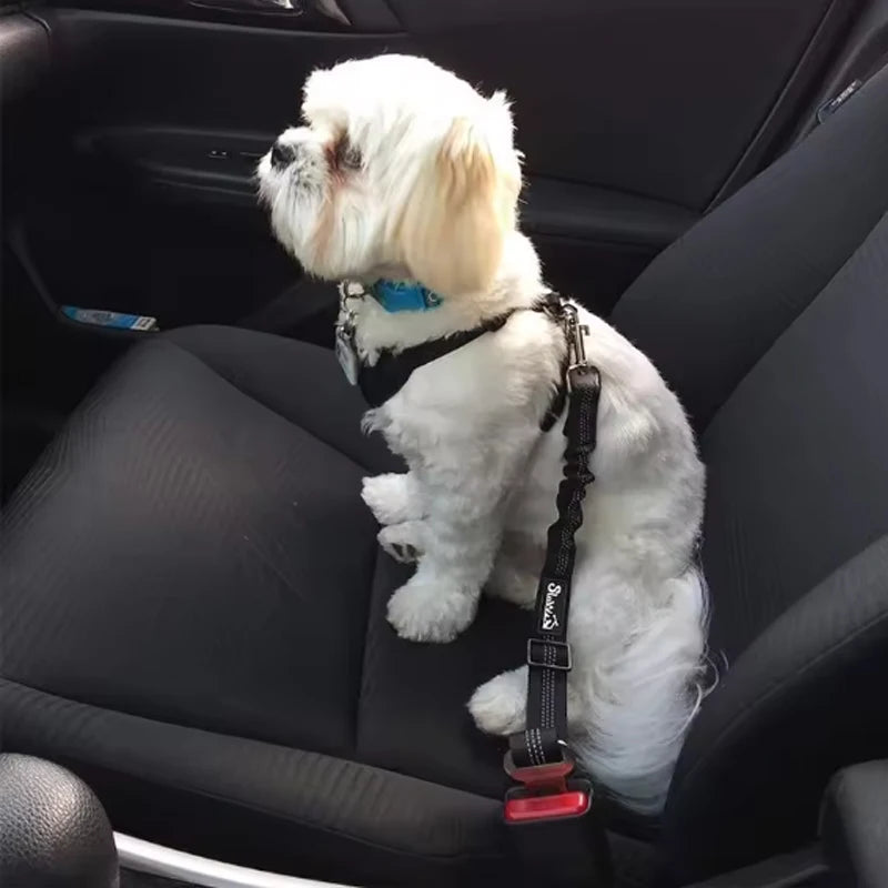Cinto de segurança para pets no carro - proteção para cães e gatos Apê Pet - foto 3