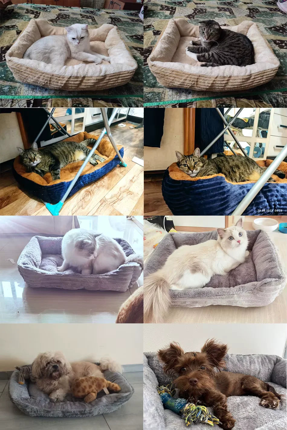 Cama anti-ansiedade para pets - conforto e segurança para cães e gatos Apê Pet - foto 4