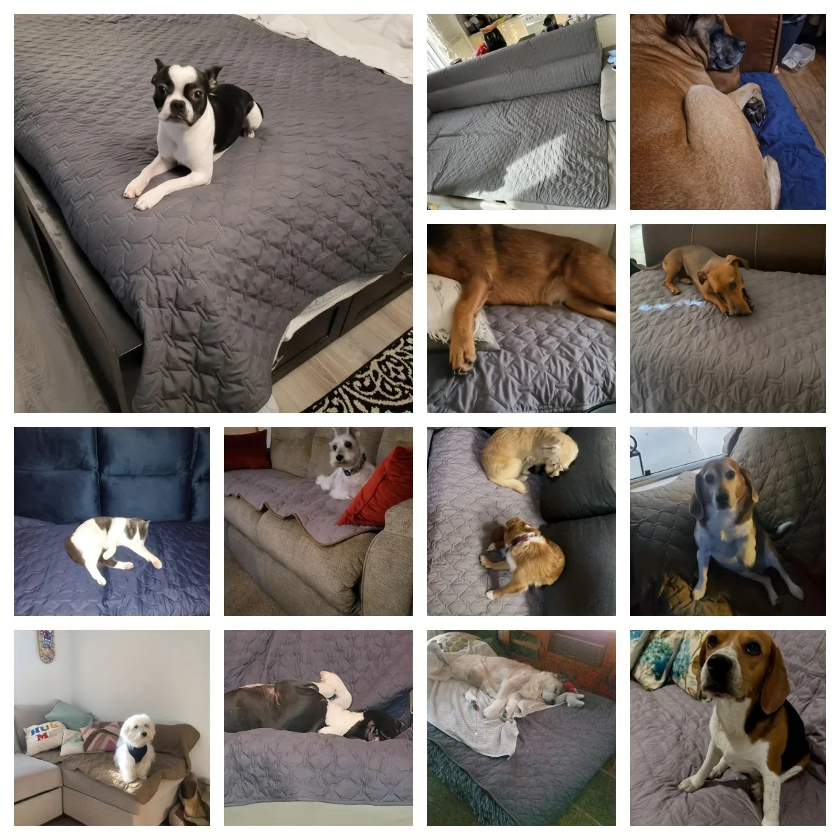Cobertor premium impermeável para pet - conforto e proteção Apê Pet - foto 2