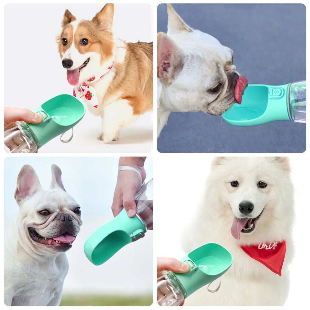 Bebedouro portátil para pets - água fresca em qualquer lugar Apê Pet - foto 4